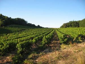 A Beautiful Distraction 